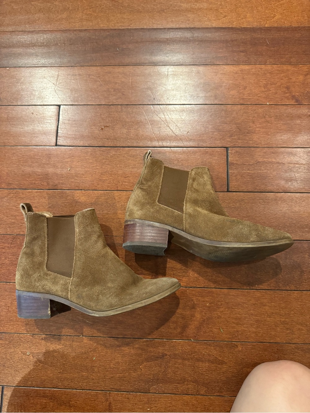 Steve Madden Brown Suede Chelsea Ankle Booties